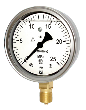 Манометр ДМ 8008-ВУф 0-2,5 МПа кт.1,0 d.100 IP54 M20*1,5 РШ